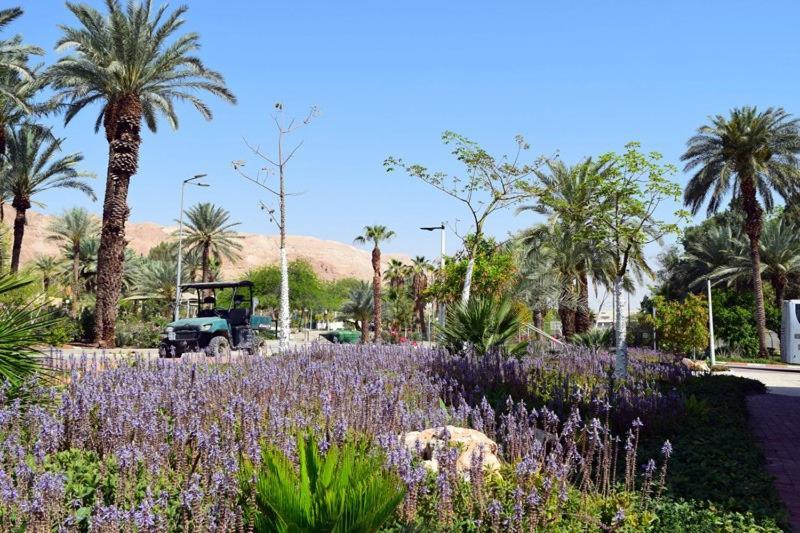 כפר נופש קלי